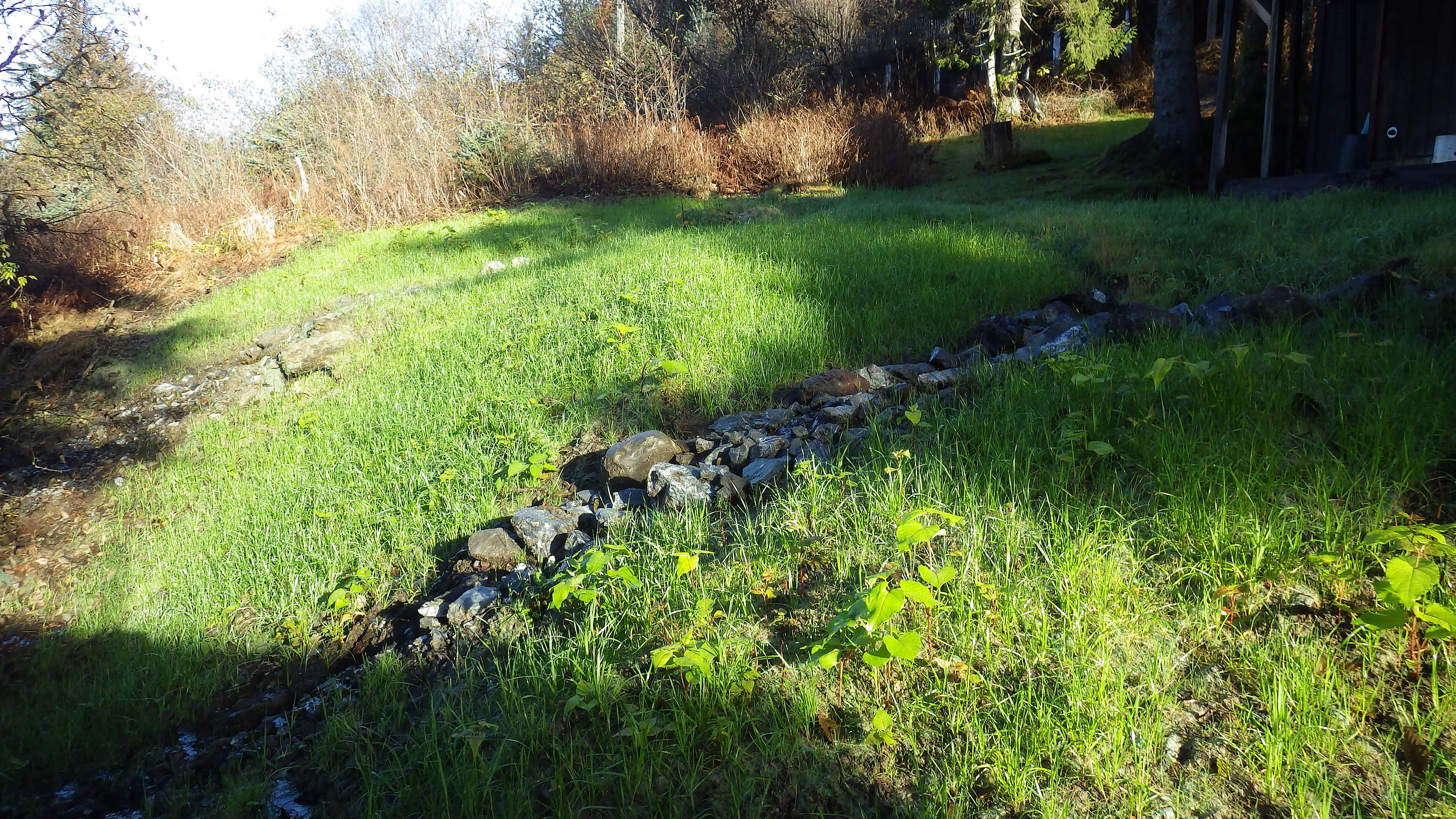 Finished Project, Green Grass