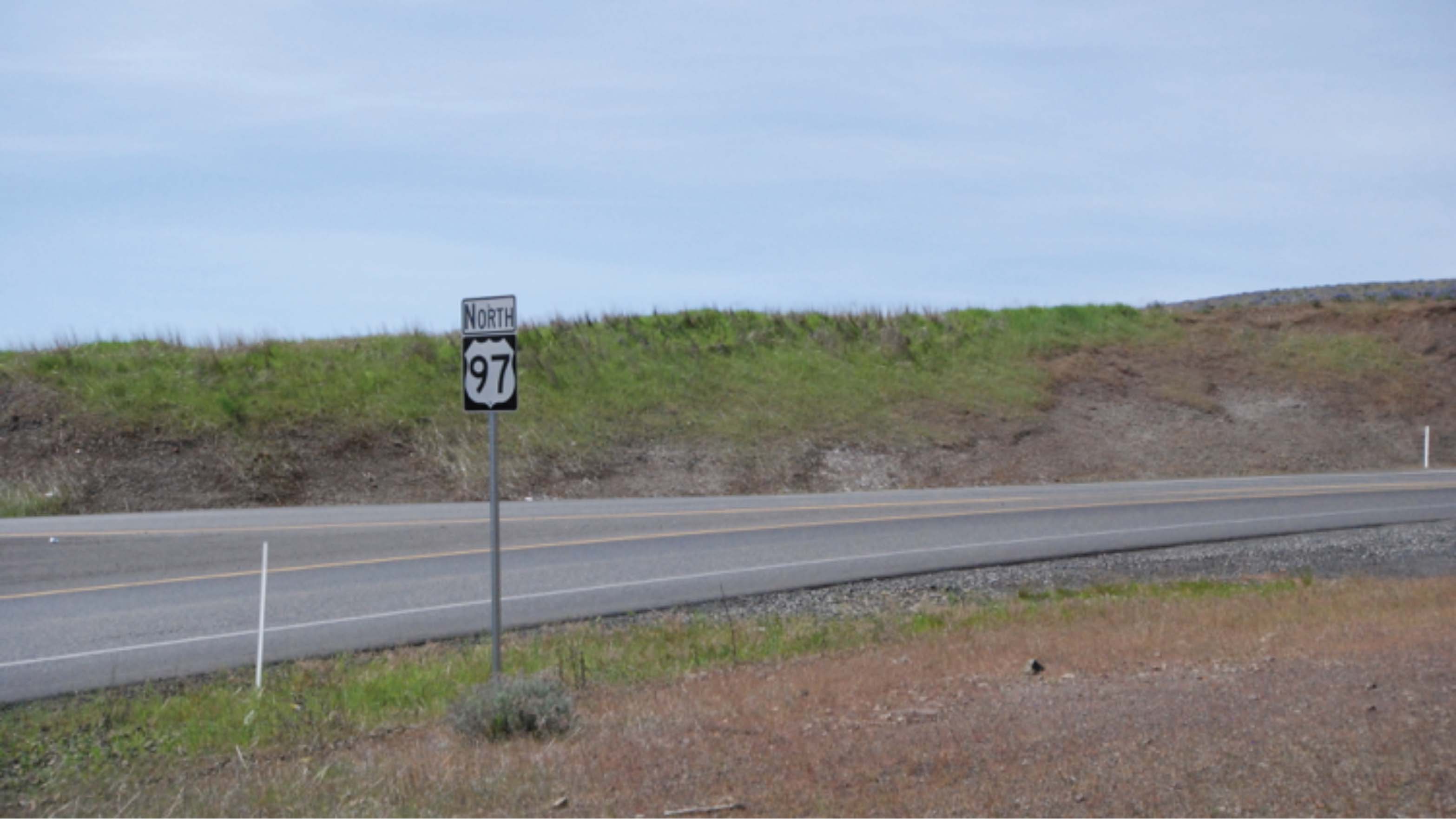 Two Years After Application, Tall Green Grass 