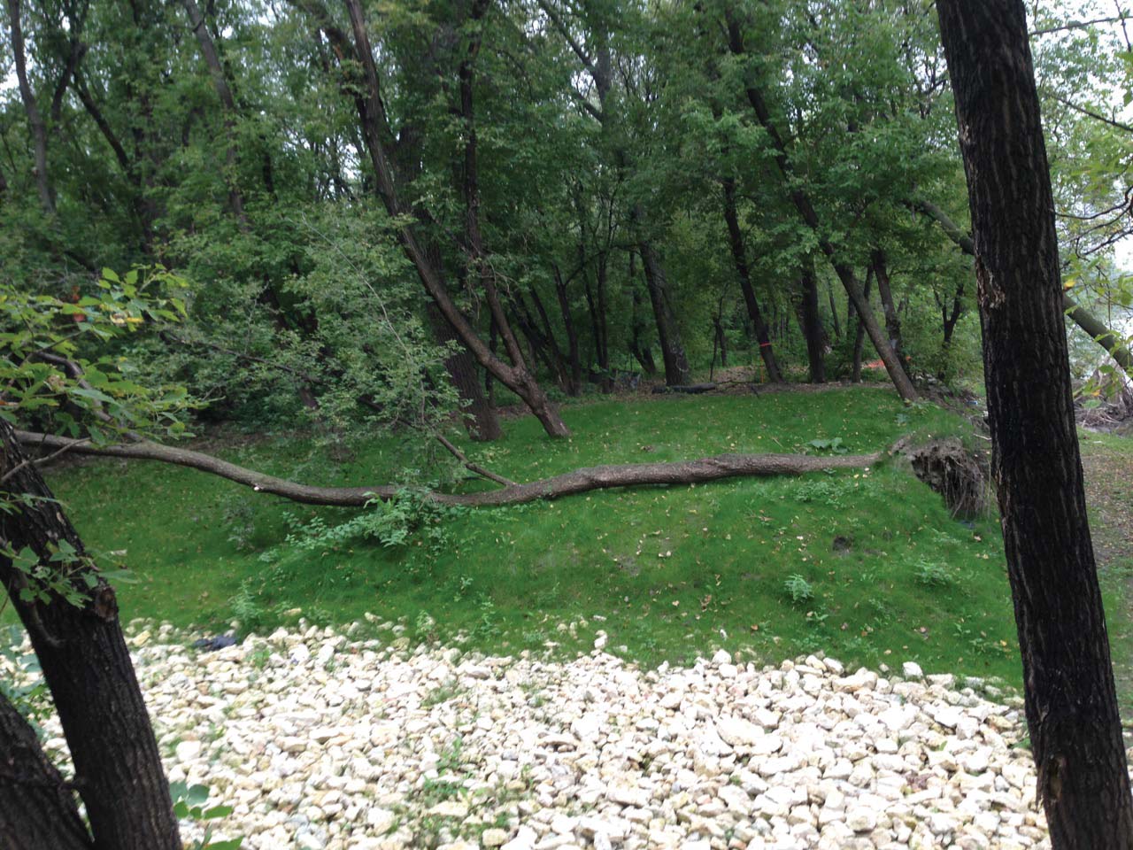 Finished Project, Green Grass