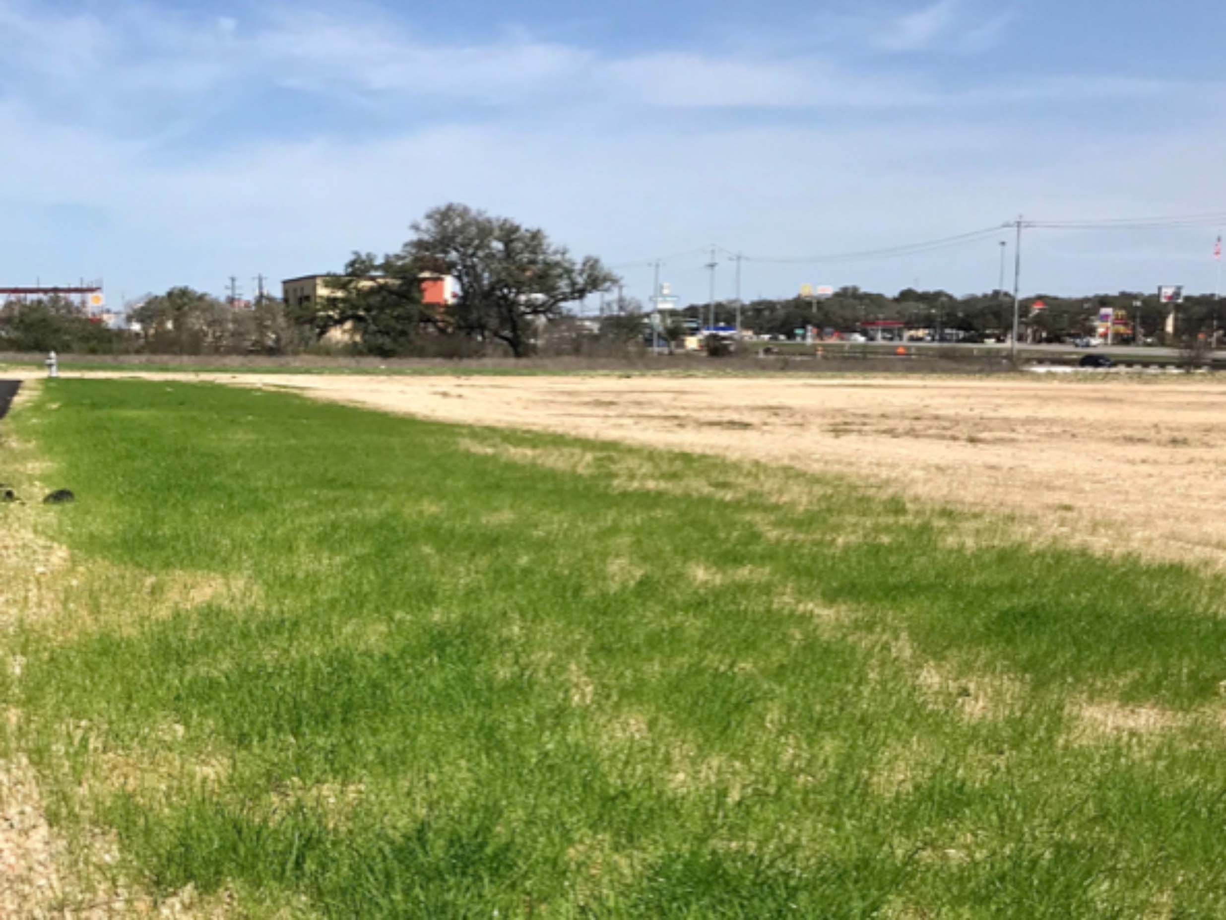 One Month After Installation, Vegetation is Growing