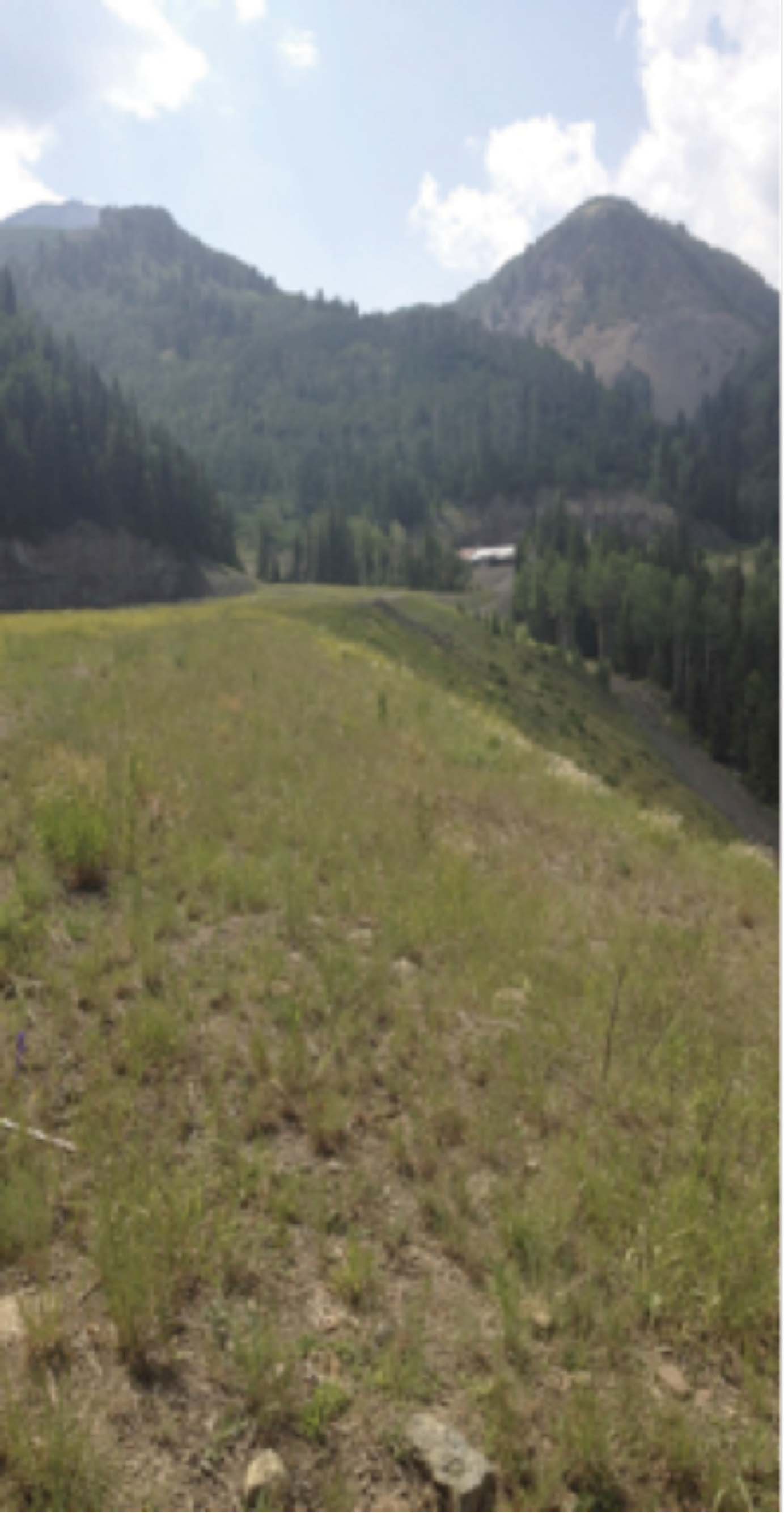 Successful Vegetation Achieved 