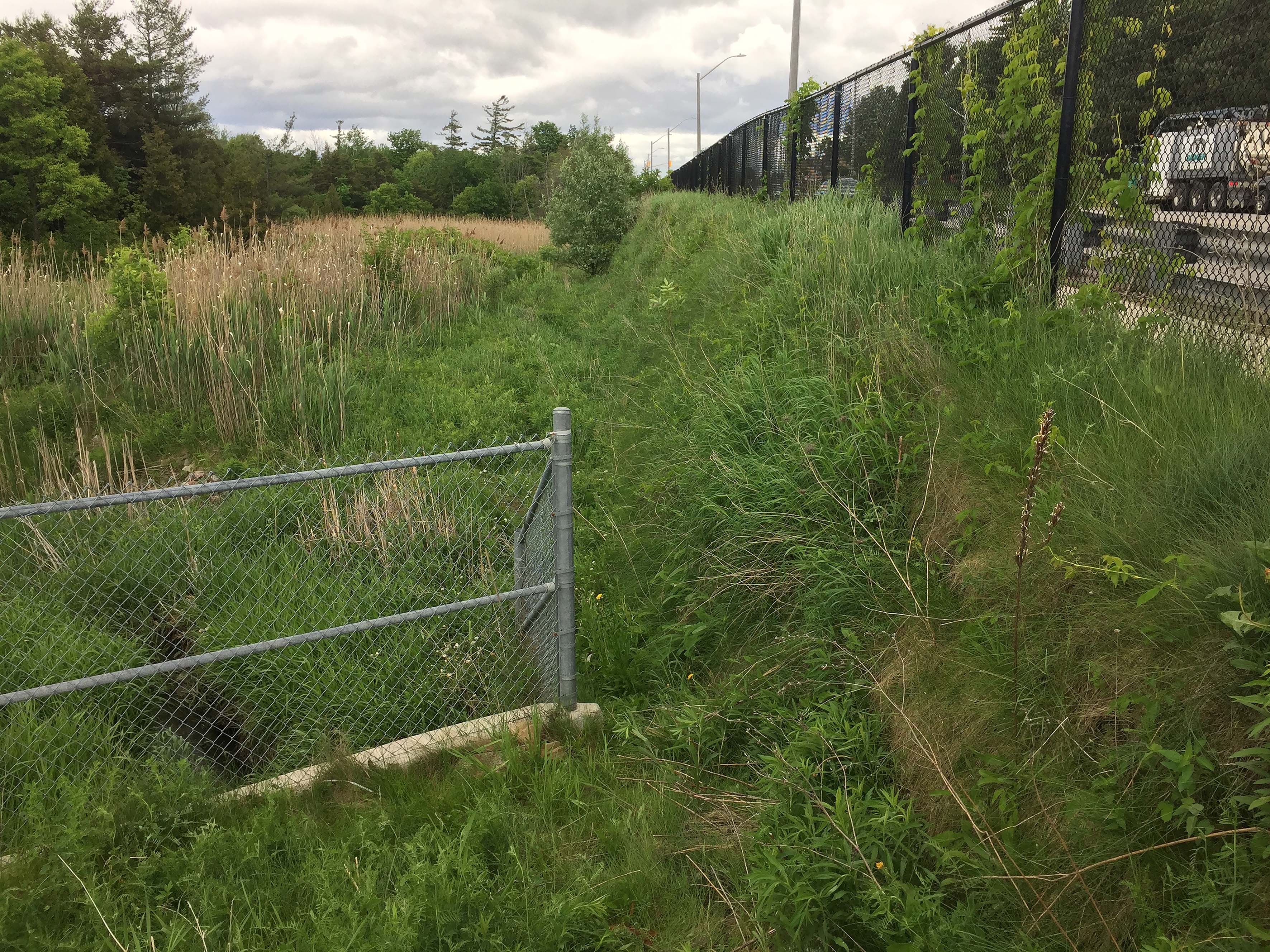 Eight Years after Installation, Long-term Vegetation Success