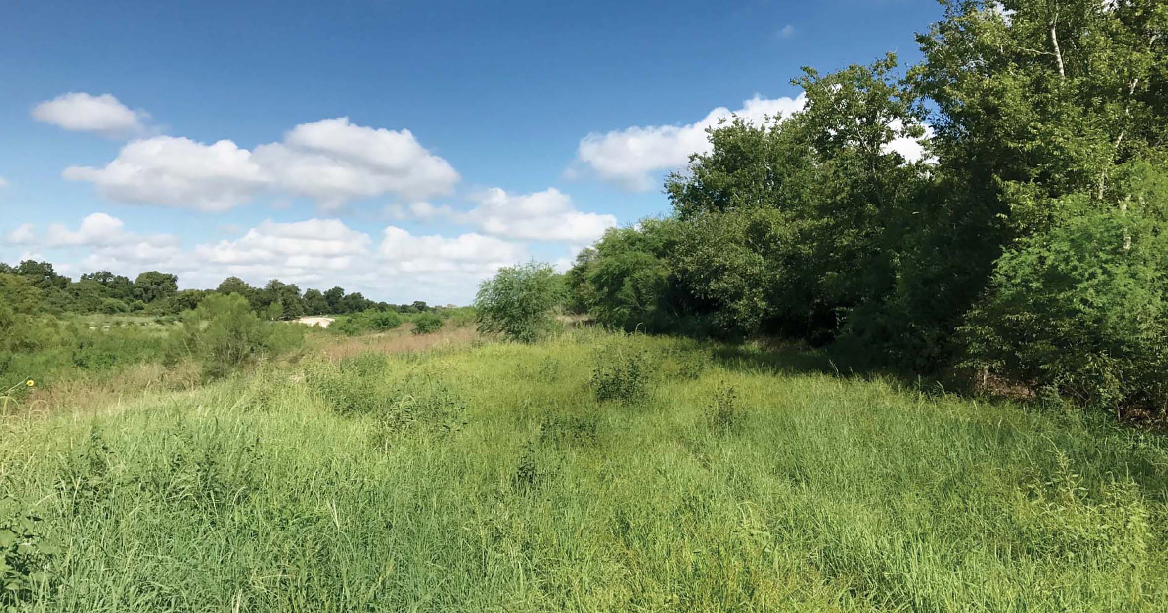 Three Months After Installation, Fully Vegetated 