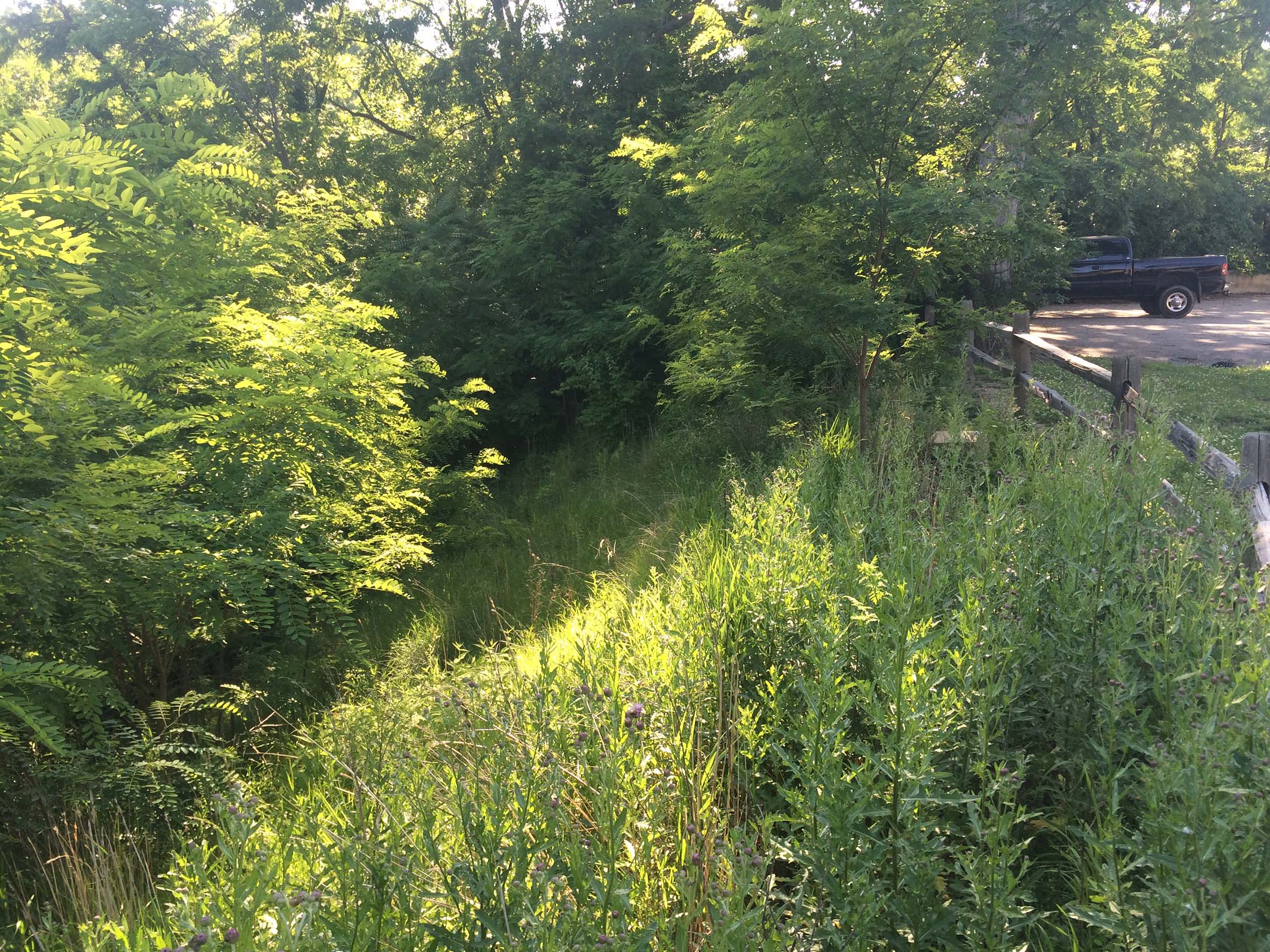 Several Years After Application, Fully Vegetated 