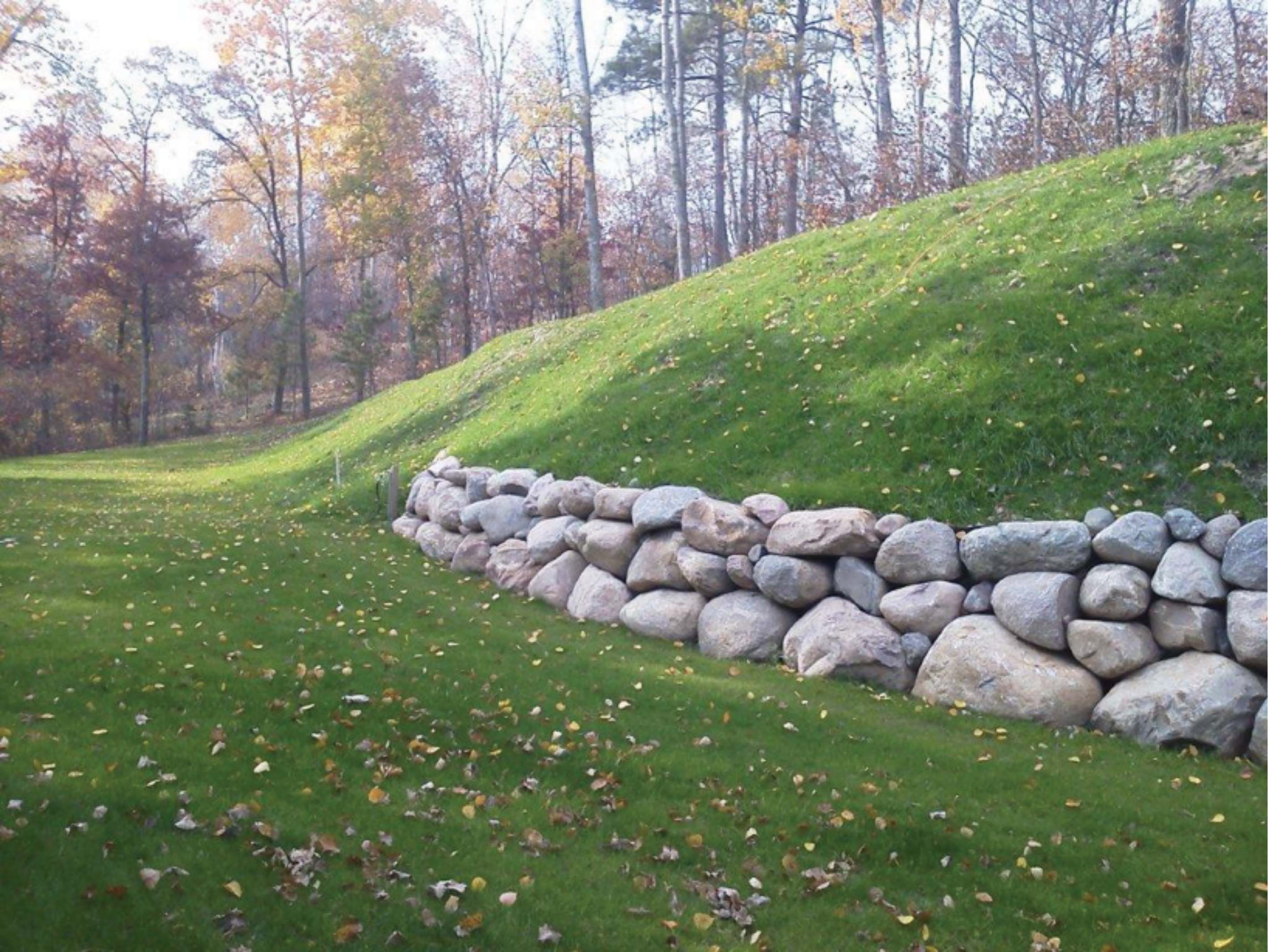 Finished Project, Fully Vegetated 