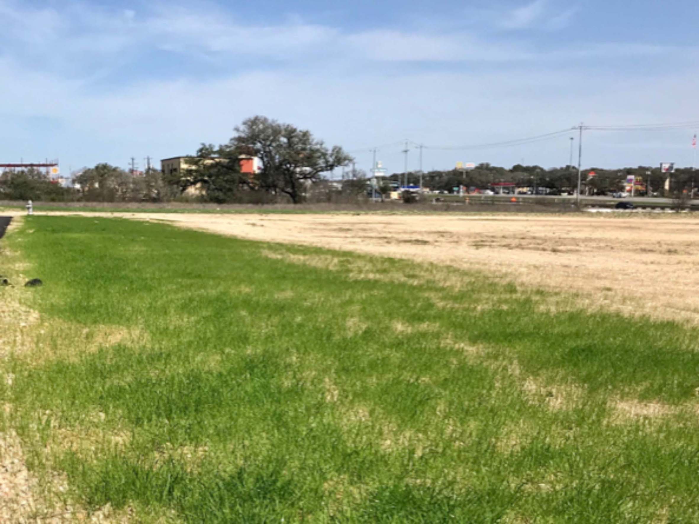 One Month After Installation, Vegetation is Growing